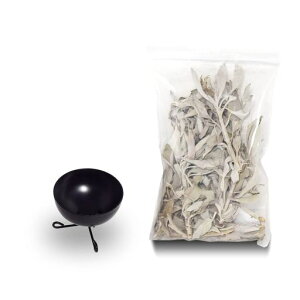 zCgZ[W30g~jSFZbgp[Xg[򉻂CZX