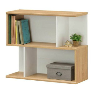 YA4TCỸt@C{bNX㉺2i[łŜȃbN{Ii`uE83.972.0s29.7cmGAR-7085K^