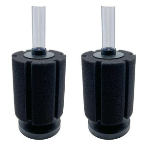 RedBerylX|WtB^[ݎߑu({2RB2811)