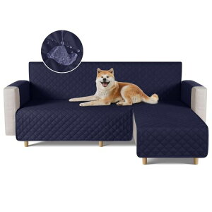 TAOCOCOhJE`\t@Jo[tA\t@Jo[R[i[\t@Jo[\t@[xbhJo[Ibg}Jo[RpNgLIt2l3l|L΍єsS~ߑւ\t@Jc