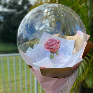 yLEISURECLUBz10Lo[NA{{{o[ANAo[NAo[o[t[u[PԑPVCo[DȕDebNXDZbg炫畗Dpc