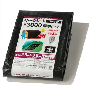 ubNV[gW[V[g#30002.6mx3.5m6艮Ogpڈ3Nng14J悯悯ς30L2736