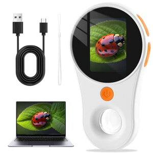 CrspexilA~jAg勾ێA2uipsیʁA2mpA4Y[{^A500{{A8ledCgA菬AyʁANX}XAaAeduMtgB