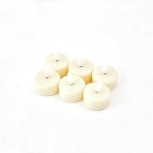 shesayVZCp[eB[CeAʂLEDeB[CgLh6