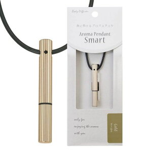 Body-DiffuserA}y_gX}[gS[h