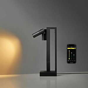 uǏԐڏƖ܂ŁARɎgRpNgX^hvSALIOTpico(TIsR)(STAND-M1{̍)