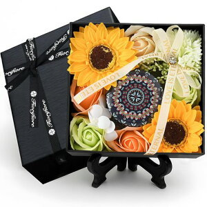 fiorifiore̓Mtg\[vt[t[{bNXbZ[WJ[htv[gVzjaސEjʉjƃV[YuU[ht[Mtgtc