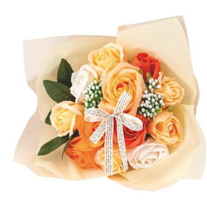 |s[É\[vt[V{t[ԃMtgv[g12փu[Poԑ26cmNAobOtSBL-11CG[