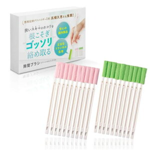 yƂEzLeLanteGAR|uVԃuVԑ|20{|