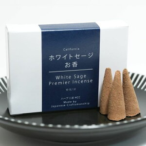 zCgZ[W򉻗pR[10n[uH[HCCIWiCZX