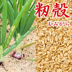 すりたて【 籾殻 もみがら 150リットル 】 約10kgx2袋 土壌改良 家庭菜園 畑 保温 保湿 除草 緩衝材 信州 長野県産 もみ殻 モミ momigara