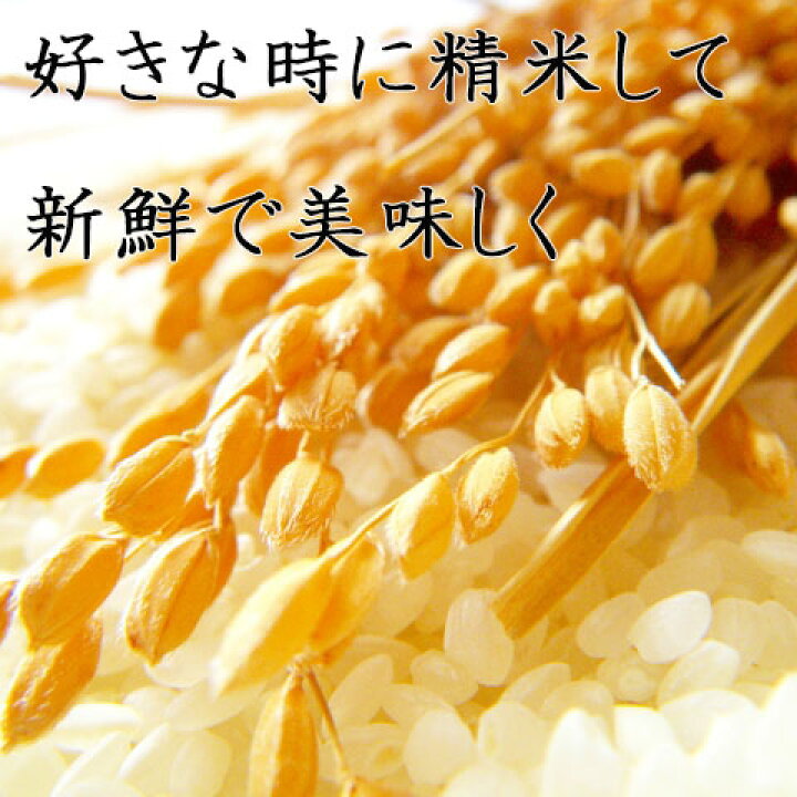 楽天市場】【 もみ米 5kg 】風さやか 2025年産（令和7年）長野県産 
