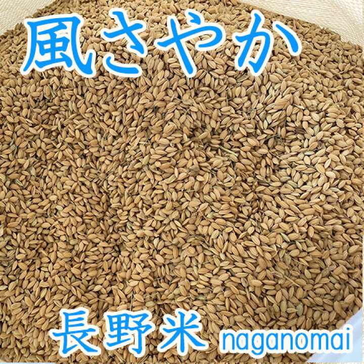 楽天市場】【 もみ米 5kg 】風さやか 2025年産（令和7年）長野県産 