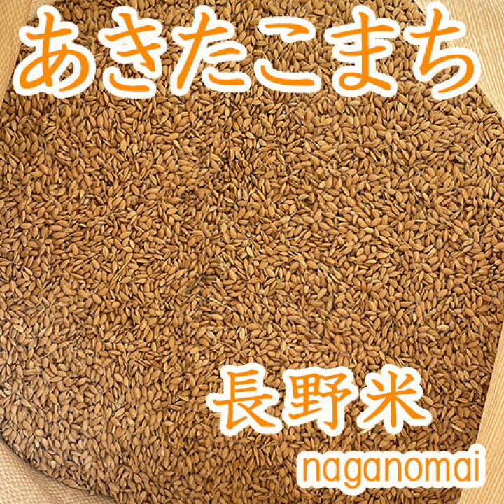 楽天市場】2025年収穫【 もみ米 5kg 】長野県産 あきたこまち 保存米 