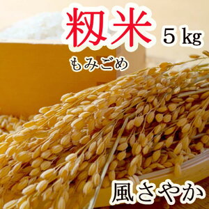 y ݕ 5kg z₩ 2024NYiߘa6Nj쌧Y ۑ   ~ MBY  momi kome