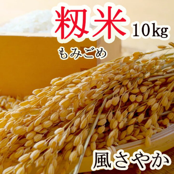 楽天市場】【 もみ米 10kg 】風さやか 2025年産（令和7年）長野県産 