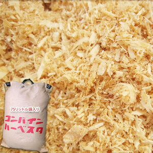 y  75bg z  ؂  L MBY 쌧Y ogako