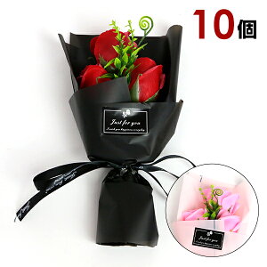 xĂ߂ ̓ \[vt[ ԑ u[Pyz10Zbg Iׂ2F Mtg o [Y AWg LO  a ̓ ̓ LO