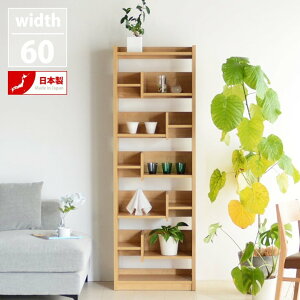{I I 60 Vv Iׂ2F }KWbN I[vbN bN [  fBXvCbN  { i EH[ibg I[N VFt shelf [ LANE