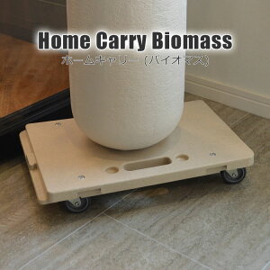 z[L[oCI}X Home Carry Biomass ƒp  L[J[g ב ԑ AR ݊k25 A COLLEND Rh