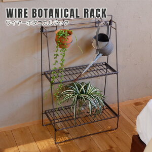 C[{^jJbN iCeAO[yނ̂ɍœKȃ{^jJbNj  488×s263×756mm WIRE BOTANICAL RACK [I I VFt A S X`[  Vv