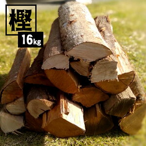 JVd 16kg iΗ͂Ύǂd̉lj ~ Lt d Lv AEghA o[xL[ BBQ  sUq dXg[u gF R e  C  ϊܐ20ȉ