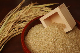 大特価！やっぱりコシヒカリ！最安値に挑戦いたします！令和7年兵庫県丹波産コシヒカリ 玄米 5kg 北海道・沖縄県は別途送料がかかります