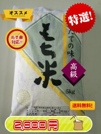 令和4年産　熊本県産　ヒヨクモチ　白米　5kg　もち　モチ　こめ　米　送料無料　一部の地域を除く