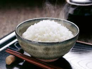 VāIߘa7NɌY qmqJ10kg ߘa7NY   qmqJ 10kg  10L Ђ̂Ђ10kg Ђ̂Ђ     ͂  kCEꌧ͕ʓr