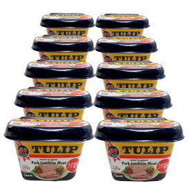 チューリップ【うす塩・340g】プラスチックタイプ×10個セット
