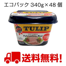 チューリップ【うす塩・340g】プラスチックタイプ×48個セット　全国送料無料