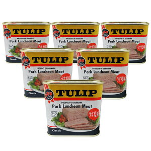 `[bv|[N@340g×6ʃZbg@VhX@`[bv|[N@@|[Nʎqɂ@hД~p@^[pbN520