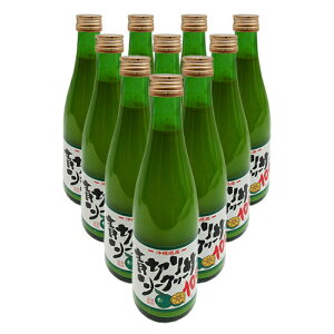 ؂V[N[T[300ml×10{@VhX@ꌧYV[N[T[100gp@S