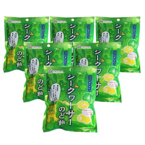 V[N[T[̂ǈi70g×6܃Zbgj