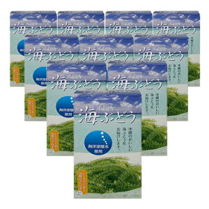 CԂǂЂi60g×10Zbgj S