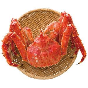 ԑY {C΂Ɏp  O  J lC Mtg Ԃ i 蕨 j j v[g a oYj oYj j Cj ei ii 