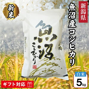ߘa7NY V Y RVqJ  5kg  VY V  Ђ   5L Mtg Ԃ i 蕨 j  j v[g a ei TԂ A