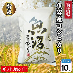 ߘa7NY V Y RVqJ  10kg  VY V  Ђ   10L Mtg Ԃ i 蕨 j  j v[g a ei TԂ 