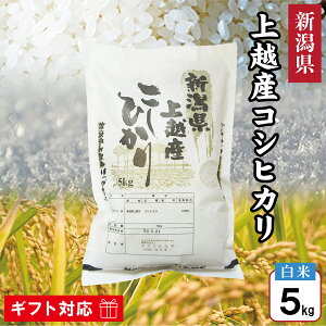 �ߘa7�N�Y �V���� ��z�Y �R�V�q�J�� �� 5kg ���� �V�����Y �V�� ��z �����Ђ��� �� ���� ������ 5�L�� �M�t�g ���Ԃ� �����i ���蕨 ���j�� ���� ���j�� �v���[���g �a���� �e�i ���T�Ԃ� ����