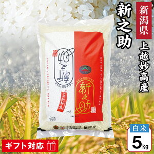 �ߘa7�N�Y �V���� ��z�����Y �V�V�� 5kg ���� �y�܃c�����ă}�C�X�^�[������ �݂傤���������i�z �V�����Y ��z�Y �����Y �V�� ����̂��� �� ���� ������ �����s ��z�s 5�L�� �M�t�g ���Ԃ�