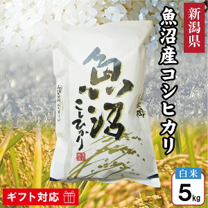 �ߘa7�N�Y �V���� �����Y �R�V�q�J�� �� 5kg ���� �V�����Y �V�� ���� �����Ђ��� ���� ������ 5�L�� �M�t�g ���Ԃ� �����i ���蕨 ���j�� ���� ���j�� �v���[���g �a���� �e�i ���T�Ԃ� �����A