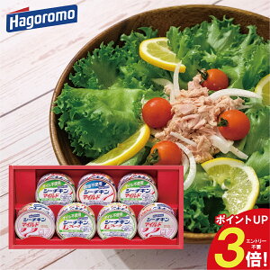 ͂t[Y V[`LMtg SET-20B V[`L }Ch t[N ʋl ۑH h lC Mtg Ԃ i j j a oYj oYj j Cj T