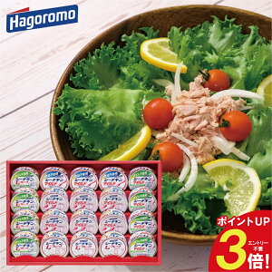 ͂t[Y V[`LMtg SET-50B V[`L }Ch t[N ʋl ۑH h lC Mtg Ԃ i j j a oYj oYj j Cj T