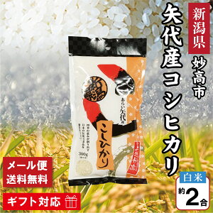 V ߘa7NY V s Y RVqJ 300g 2  yςiFiz Y VYRVqJ V   Ђ    nY Mtg 