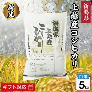 yVāzߘa7NY V zY RVqJ  5kg  VY V z Ђ    5L Mtg Ԃ i 蕨 j  j v[g a ei T