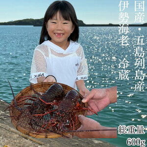 ܓ񓇎Y ɐGr@dʁ@600g 