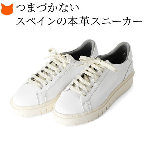 XyC  Xj[J[ fB[X V[Y ꂢ uh y ʋ Xj[J[    v Xj[J[ Cq[ U[ Xj[J[ y RtH[gV[Y zC