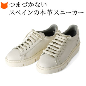 XyC  Xj[J[ fB[X V[Y ꂢ uh y ʋ Xj[J[    v Xj[J[ Cq[ U[ Xj[J[ y RtH[gV[Y zC