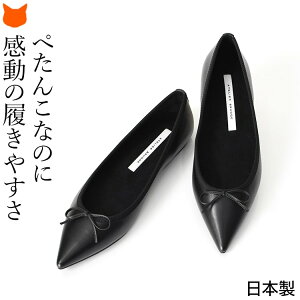 { |CebhgD oGV[Y tbg pvX {v uh fB[X tbgV[Y ₷ ubN ؂ C ItBX ʋ JWA X[c ɂȂ _