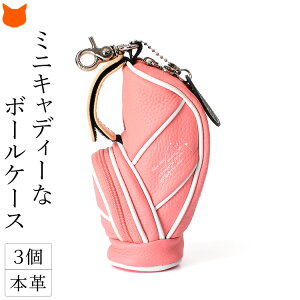 St {[P[X v fB[X 3 ~j St{[   obO {[|[`  Mtg  {[z_[ Ry ii zCg  ubN O[ lCr[ 